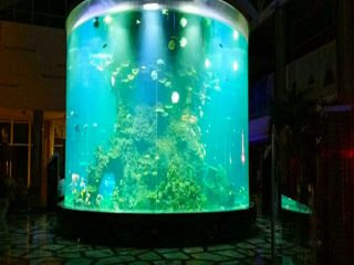 Porcelani me porosi të lirë super të madhe të rrumbullakët pmma qelqi akuariume të qarta cilindër akrilik tanke peshku