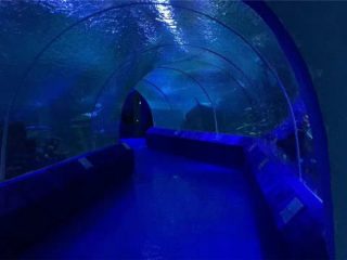 180 ose 90 shkallë Kolona akrilike për tunelin e akuariumit