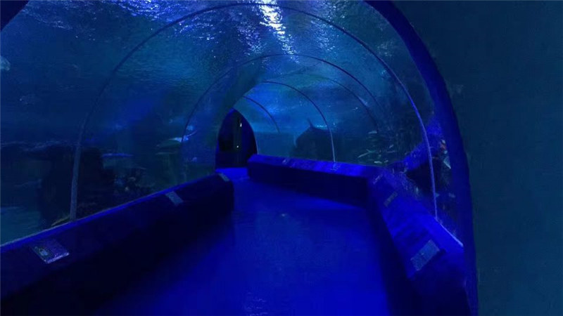 180 ose 90 shkallë Kolona akrilike për tunelin e akuariumit