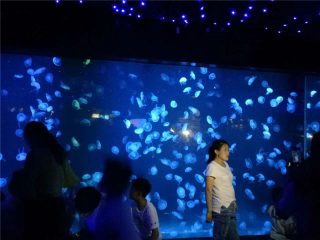 2018 akrilik kandil deti akuarium xhami