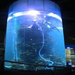 akrilik i pastër cilindër i madh i peshkut për akuarium ose park oqean