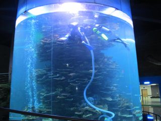 akrilik i pastër cilindër i madh i peshkut për akuarium ose park oqean