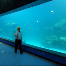 Paneli akrilik UV i hedhur muri për akuarium / oceanarium