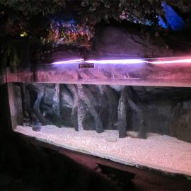 Paneli akrilik i pishinës / dritarja për Underwater Sea World