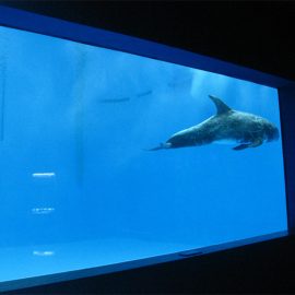 me cilësi të lartë Akuariumi i madh akrilik / dritare pishine dritare të dendura nënujore