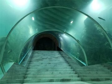 Çmimi i akuariumit në akrilik të tunelit