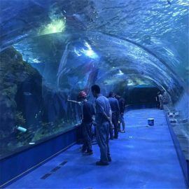 Projekti akuariumi i tunelit oceanarium në akuariumet publike