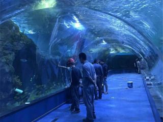 Projekti akuariumi i tunelit oceanarium në akuariumet publike
