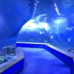 Clear pmma acrylic Tunel i madh plastik i akuariumit