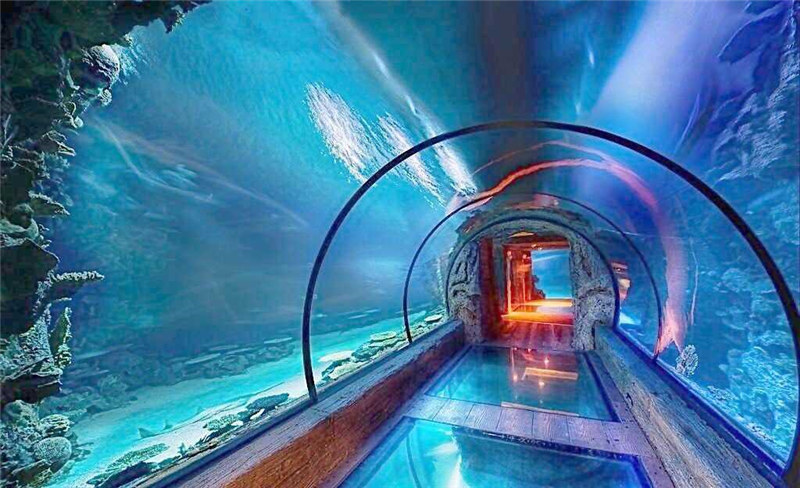 Tuneli i gjatë akrilik akuariumi i dizajnit të gjatë