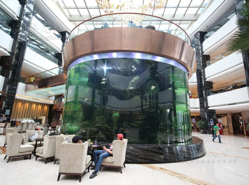 peshk i madh peshk akuariumi i peshkut